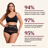 Sculpt Brief